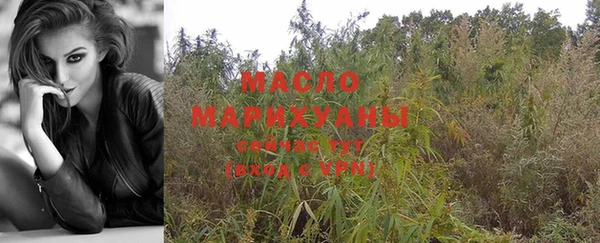МДПВ Дмитриев