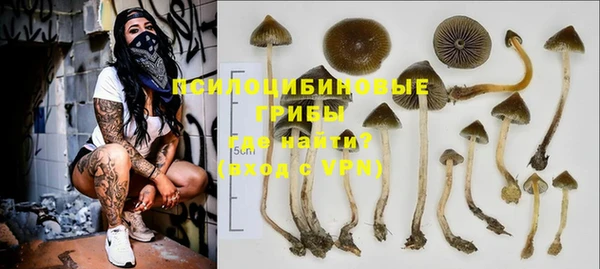 МДПВ Дмитриев