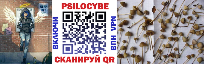 Купить  Мамадыш  Галлюциногенные грибы мицелий 